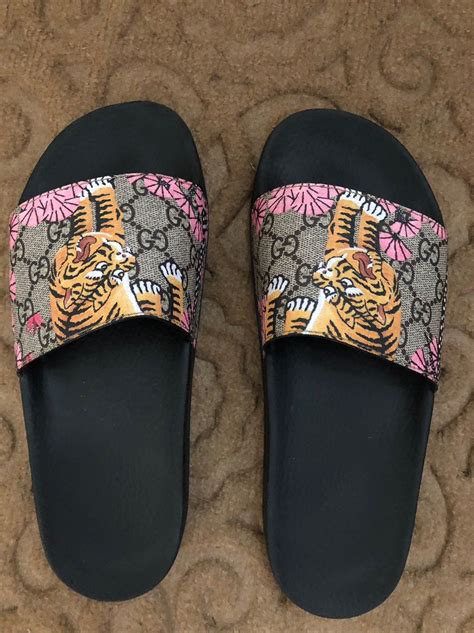 Gucci bengal iteration